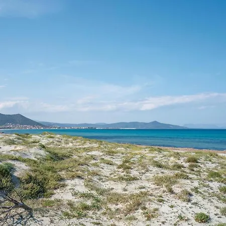 Novi Sol Cala Liberotto